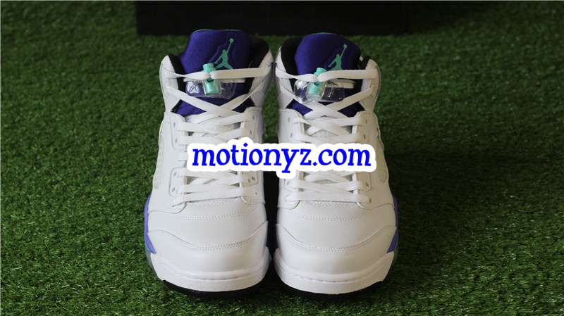 Authentic Air Jordan 5 Retro Grapes